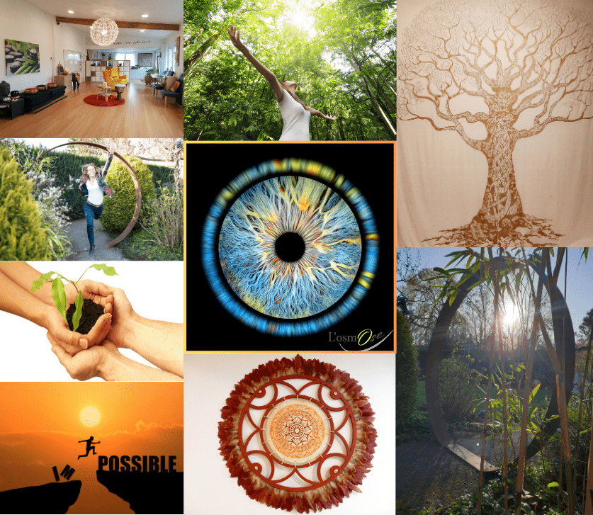 vision board adn démarche l osmose coaching formation vision board adn démarche l osmose coaching formation